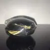 Bvlgari  Goldea The Roman Night  Eau de Parfum Sensuelle  30 ml - Image 4