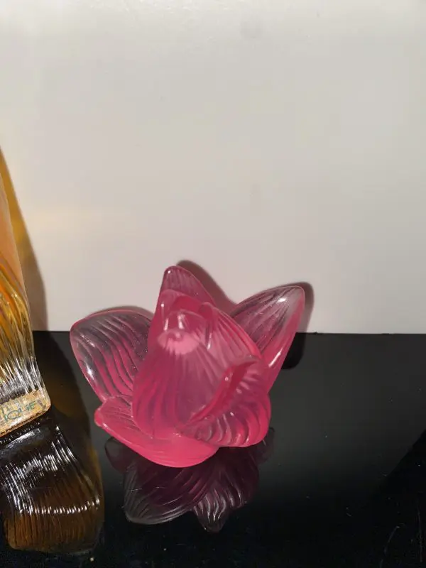 Lalique Nilang Eau de Toilette 30 ml Vapo - Image 3