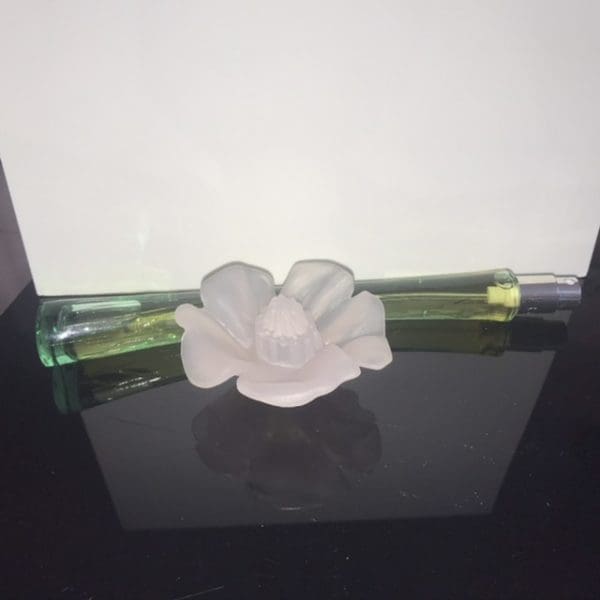 Cacharel  Anais Anais  Eau de Toilette  20 ml  Spray - Obrázek 2