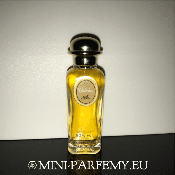 Hermes  Caleche  RARITA, VINTAGE