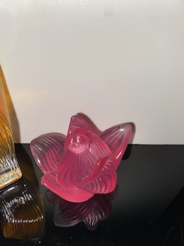 Lalique Nilang Eau de Toilette 30 ml Vapo - Obrázek 3